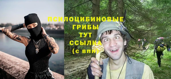 круглые Аркадак
