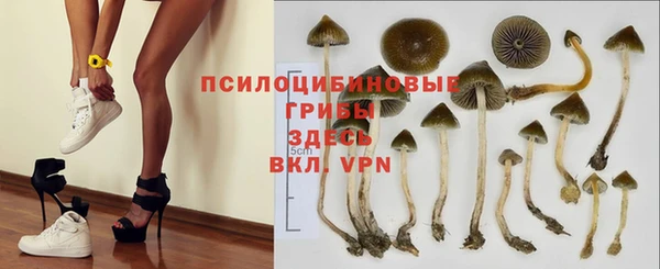 амф Арсеньев