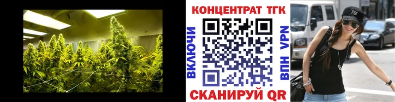 mega   Тырныауз  ТГК THC oil 