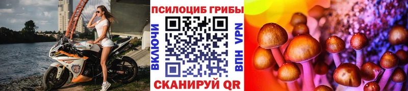 Галлюциногенные грибы мухоморы  Тырныауз 